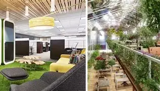 Office space with live plants