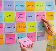 Differences and similarities