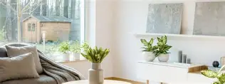 Biophilic Design - Indoor Plants